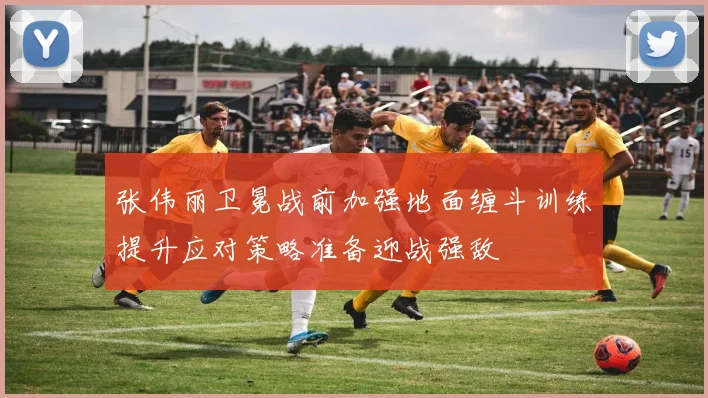 张伟丽卫冕战前加强地面缠斗训练提升应对策略准备迎战强敌